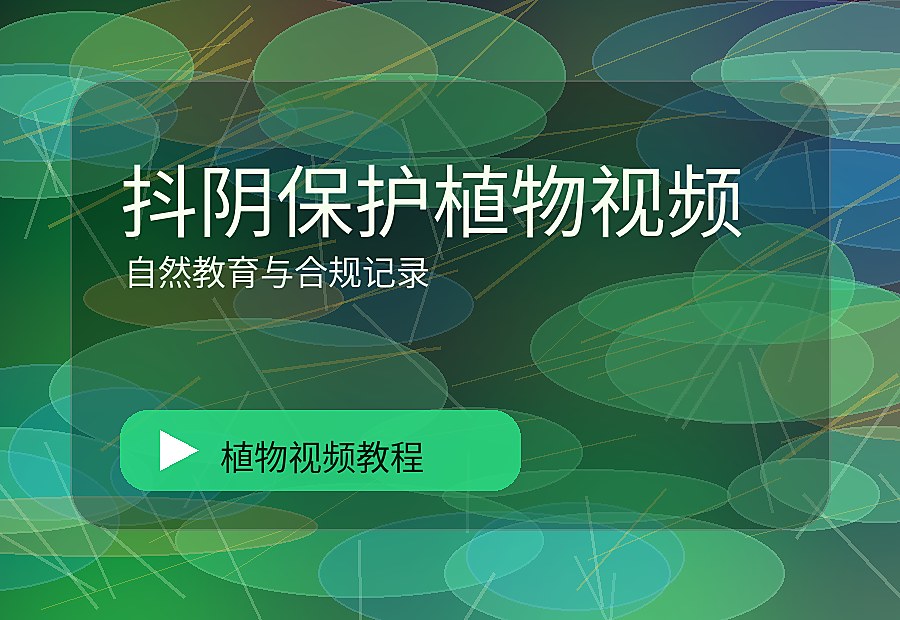 九一绿影