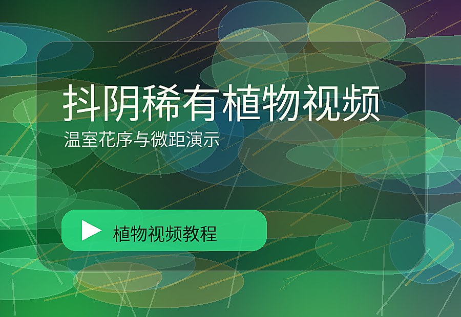 九一绿影